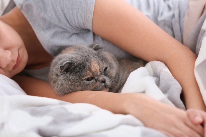 女性の腕枕で寝る猫