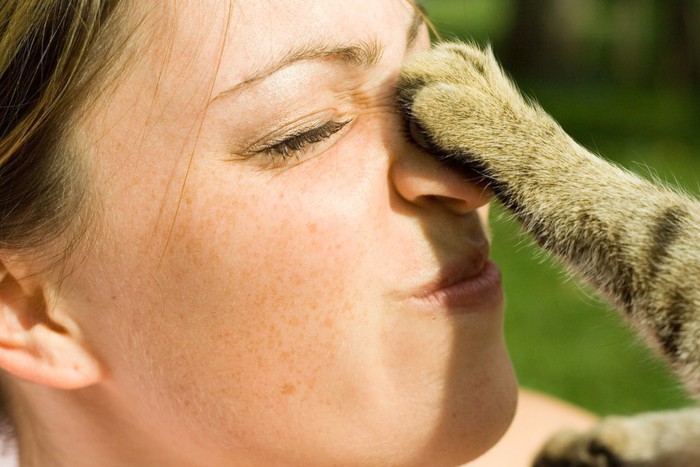 人間の鼻を触る猫の前足