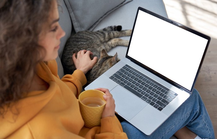猫を撫でながらパソコンを見る女性