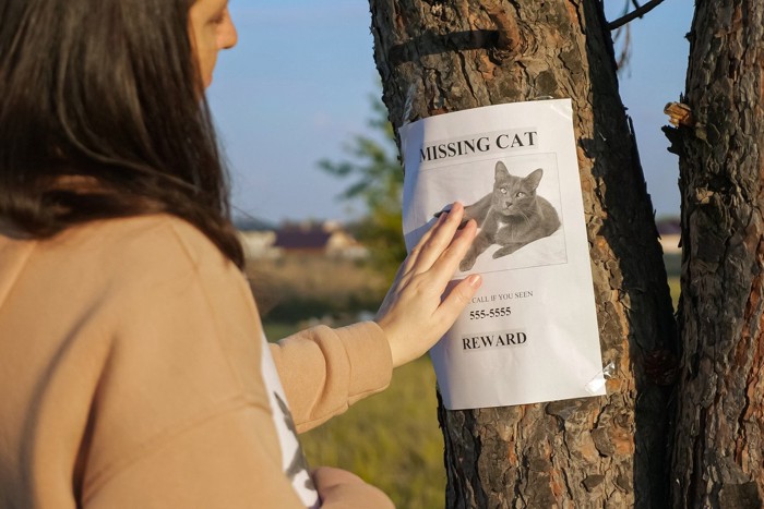 猫探しのチラシを貼る女性