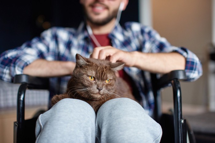 車椅子男性と猫