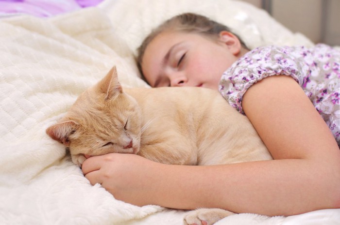 女の子の顔の近くで一緒に眠る猫