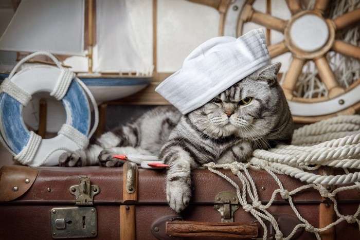 船乗り猫