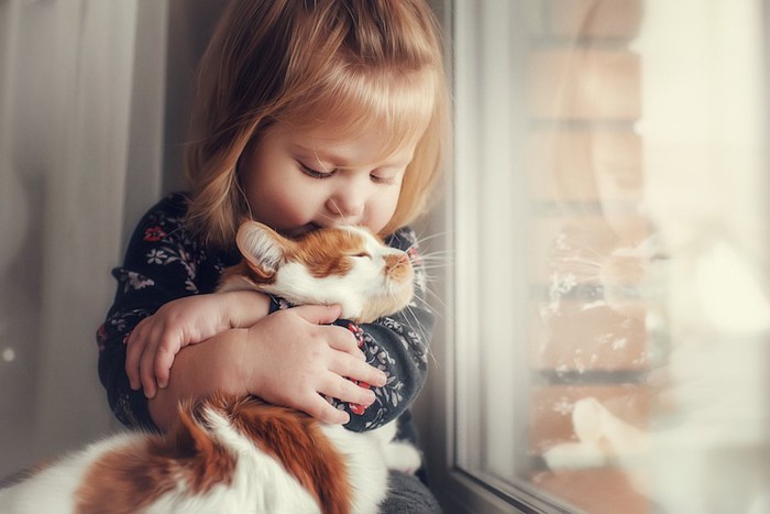 窓辺で猫を抱きしめている女の子