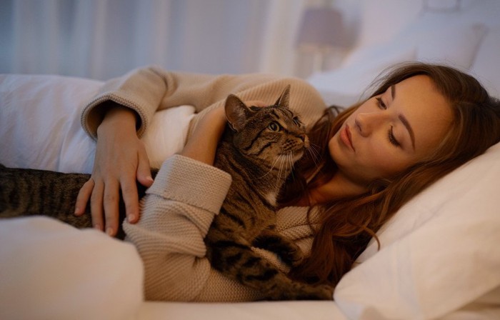 ベッドで飼い主と寝る猫
