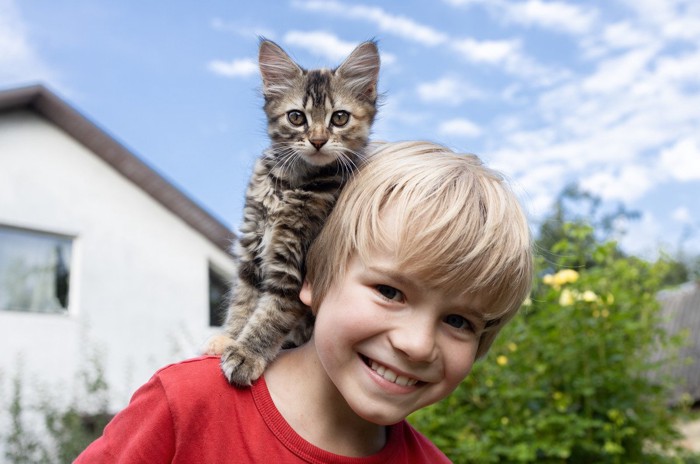 子猫を肩に乗せて笑顔を見せる子供