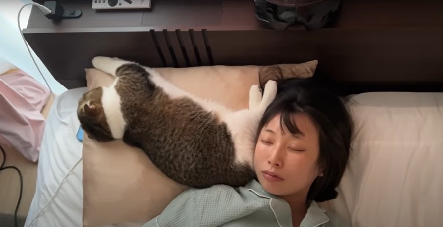 枕の上の猫と女性3