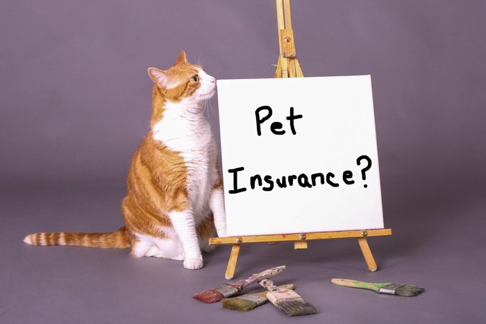 ペット保険の看板と猫