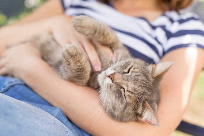 飼い主に抱っこされる猫