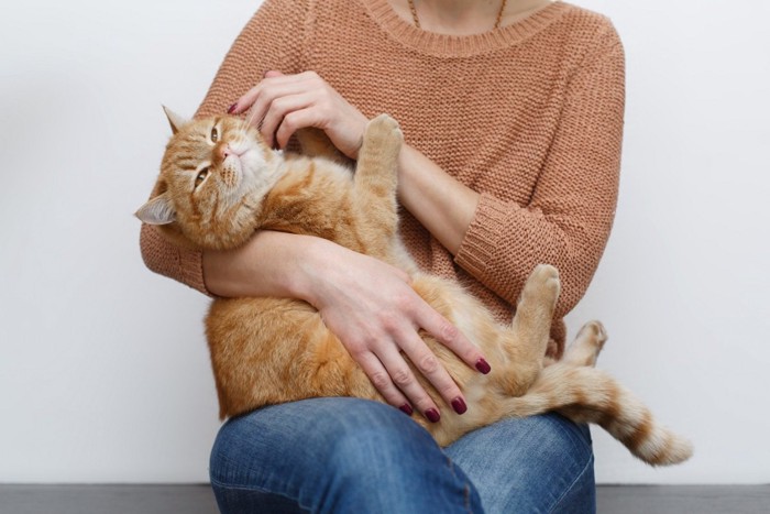 抱いた猫に構いすぎる女性