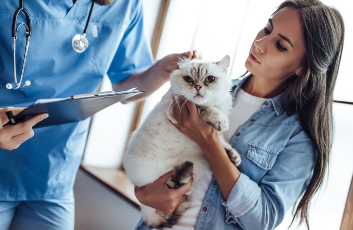 獣医師と猫を抱く女性