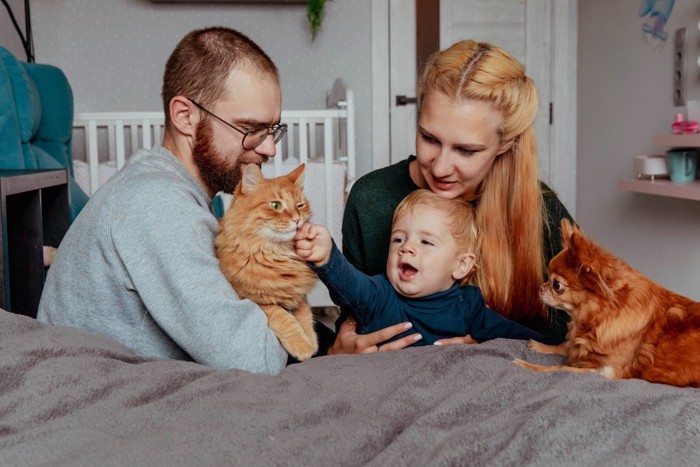 人の家族と猫