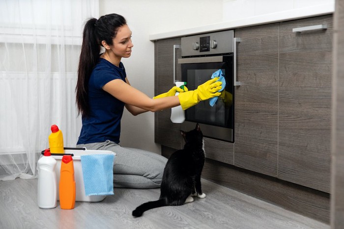 キッチンの掃除をしている女性の隣に座る猫