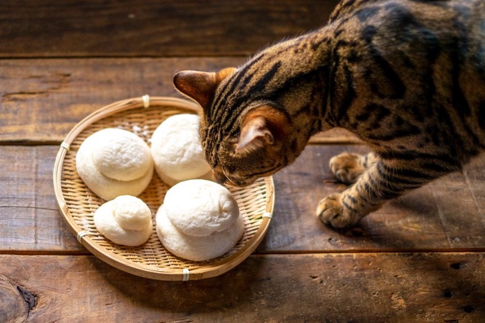 手作り餅を嗅ぐ猫