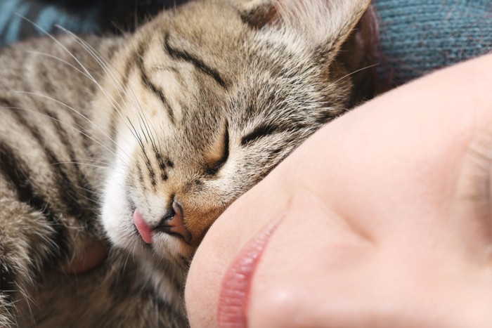 舌を出して寝る猫と女性