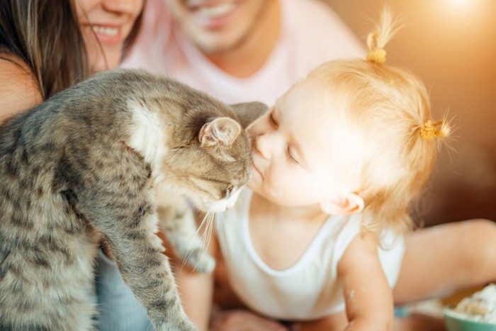 人間の赤ちゃんにキスされる猫