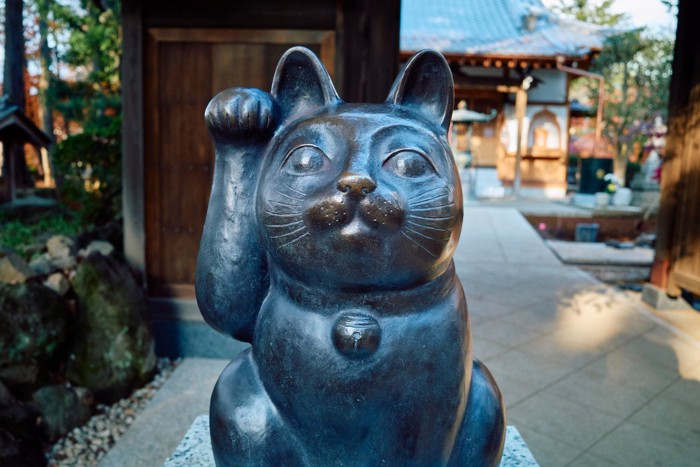 豪徳寺招き猫