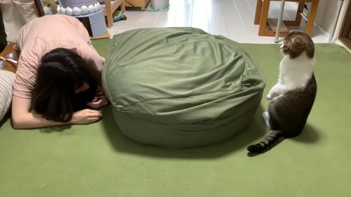 クッションに隠れる女性と後ろ足で立つ猫