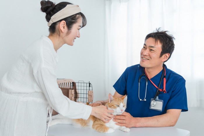 獣医師と猫