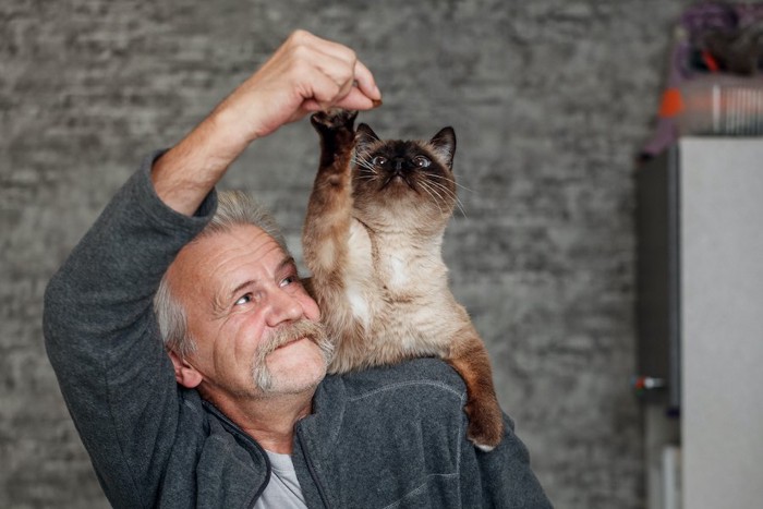 男性の肩に乗って手を伸ばす猫