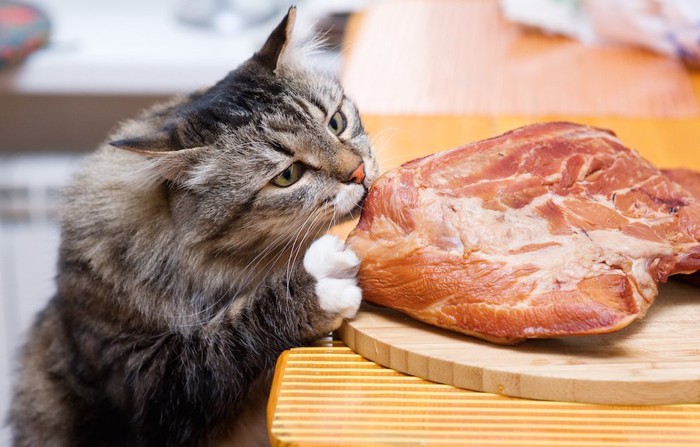 まな板の上の肉の塊にかじりつく猫