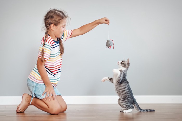 ねずみのおもちゃで少女と遊ぶ猫