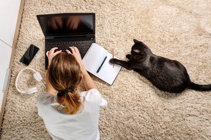 パソコンを打つ女性のそばで前足をのばす猫