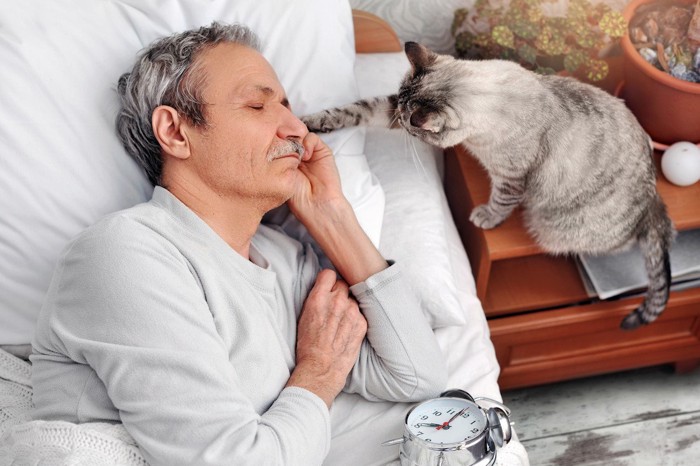 寝ている男性の顔に手をのばす猫