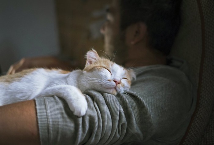 男性に抱かれて眠っている猫