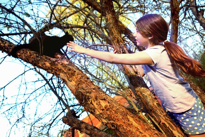 木の上の黒猫に手を伸ばす少女