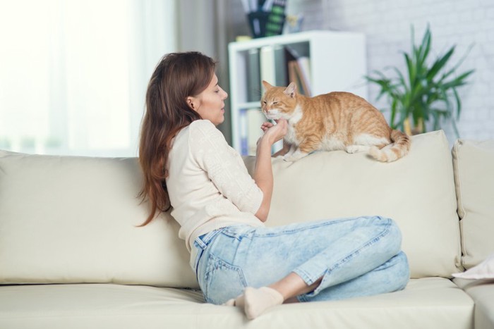 ソファーから猫に話しかける女性