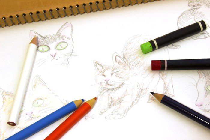 色鉛筆で描かれた猫の絵