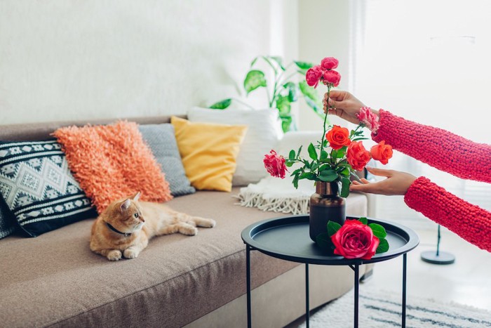 花瓶に花を飾る飼い主とソファーでくつろぐ猫