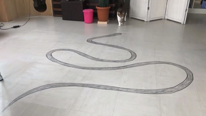 蛇の絵を見る猫