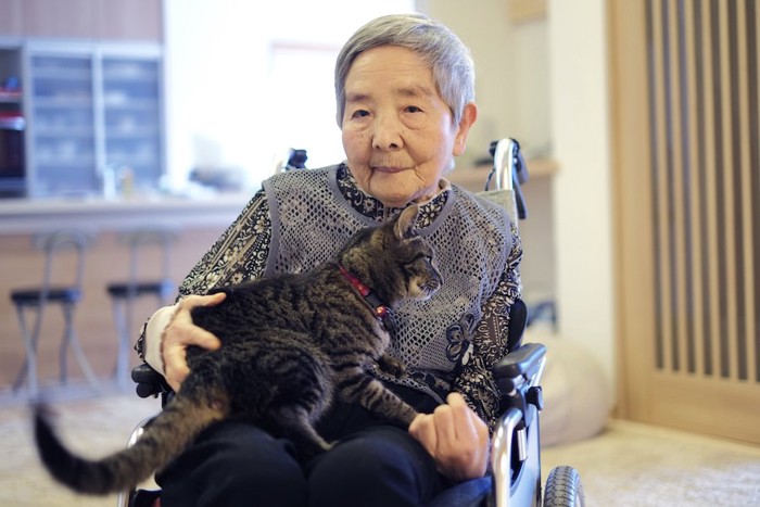 車椅子のおばあさんの膝に乗る猫