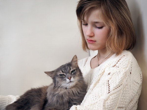 女性と抱っこされるグレーの猫