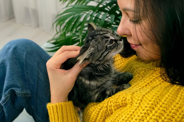 飼い主の顔をのぞき込む猫