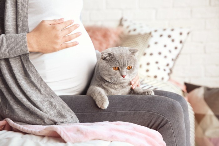 妊婦の膝に乗る猫