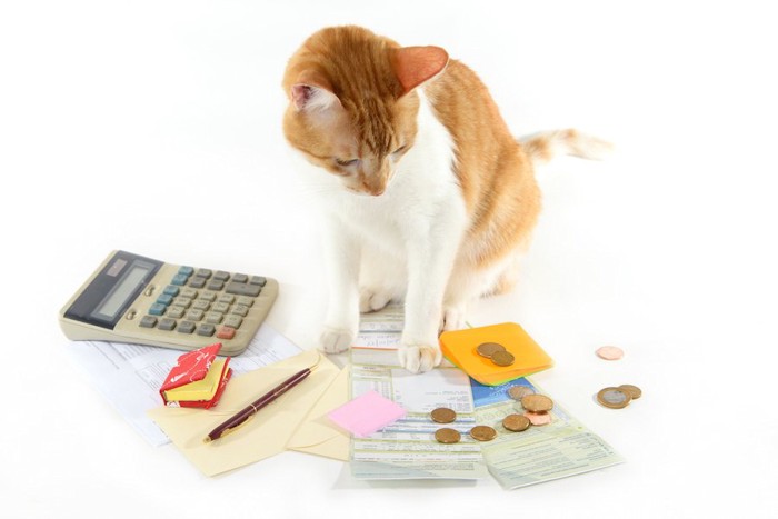 猫と計算機と小銭