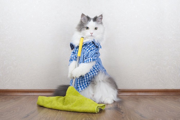 服を着てモップを持つ猫