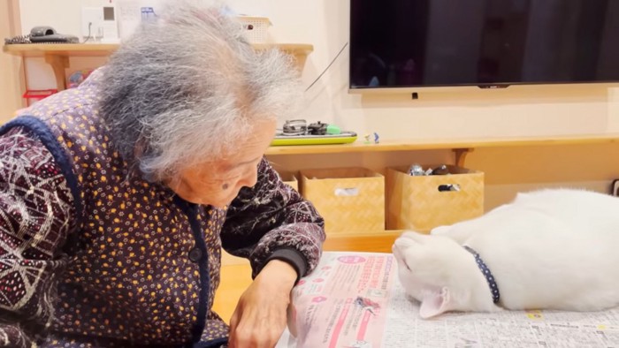 目と目を合わせる猫とおばあちゃん