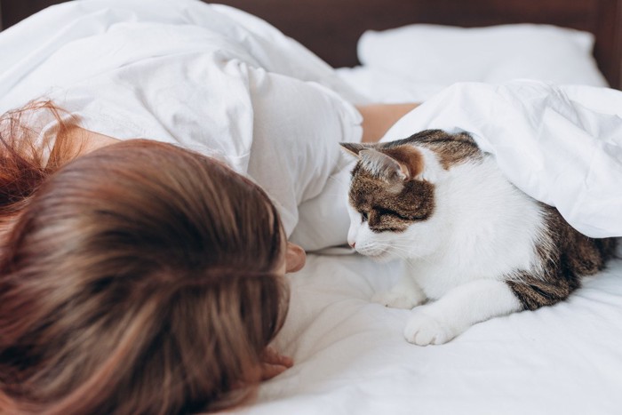 ベッドで女性飼い主を起こす猫