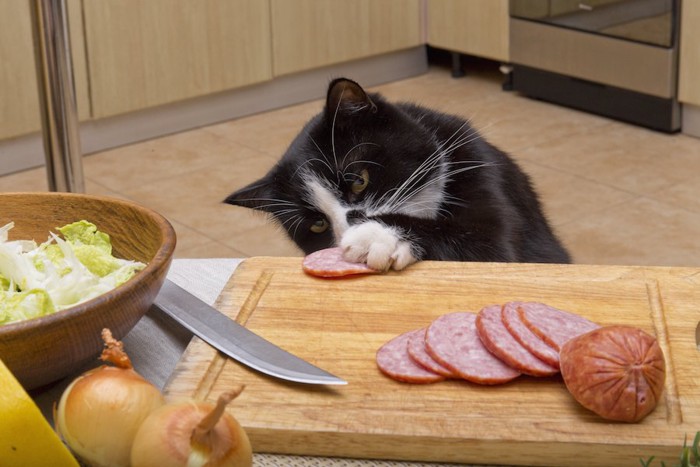 まな板の上のソーセージを盗み食いする猫 