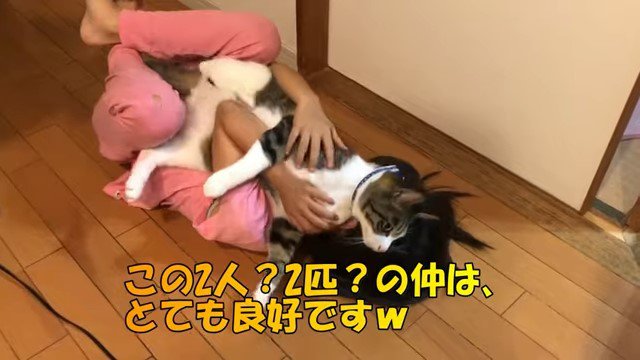 寝転がる女の子の上の猫と字幕