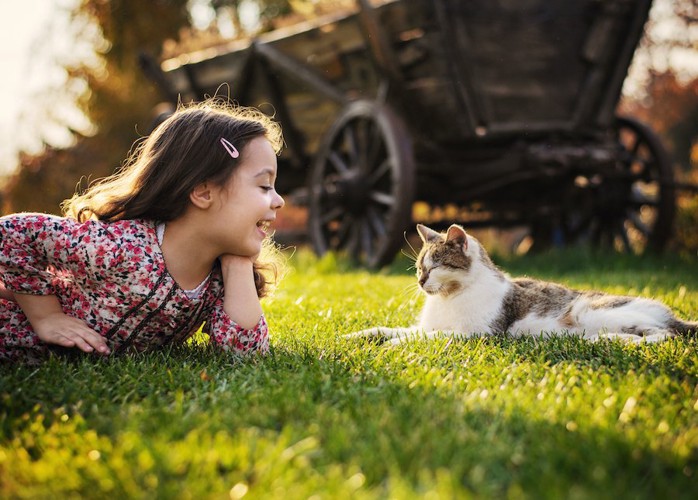 芝生の上で猫と向かい合って話をする女の子