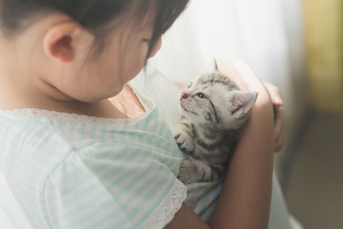 子猫を抱く女の子
