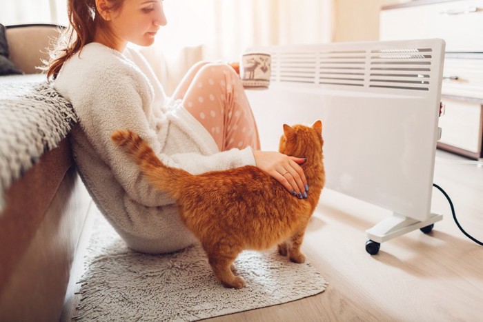 暖房と猫と人