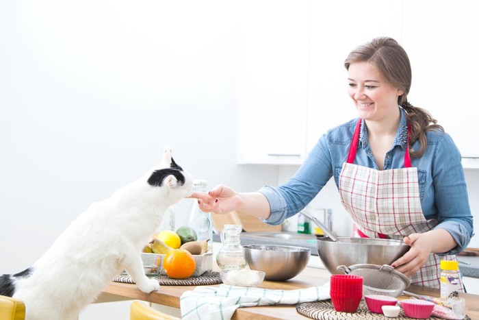 料理をする女性と猫