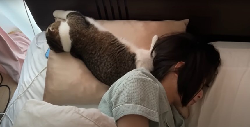 眠る女性と猫