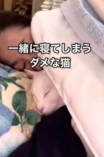 寝ている人と猫